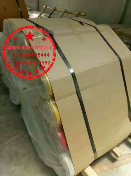 0.2mm�����X��